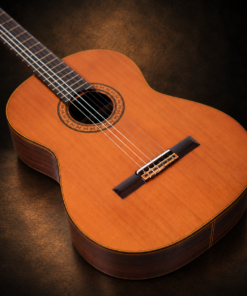 Guitar Fernandes GC-40 – cận cảnh mặt đàn và ngựa buộc dây