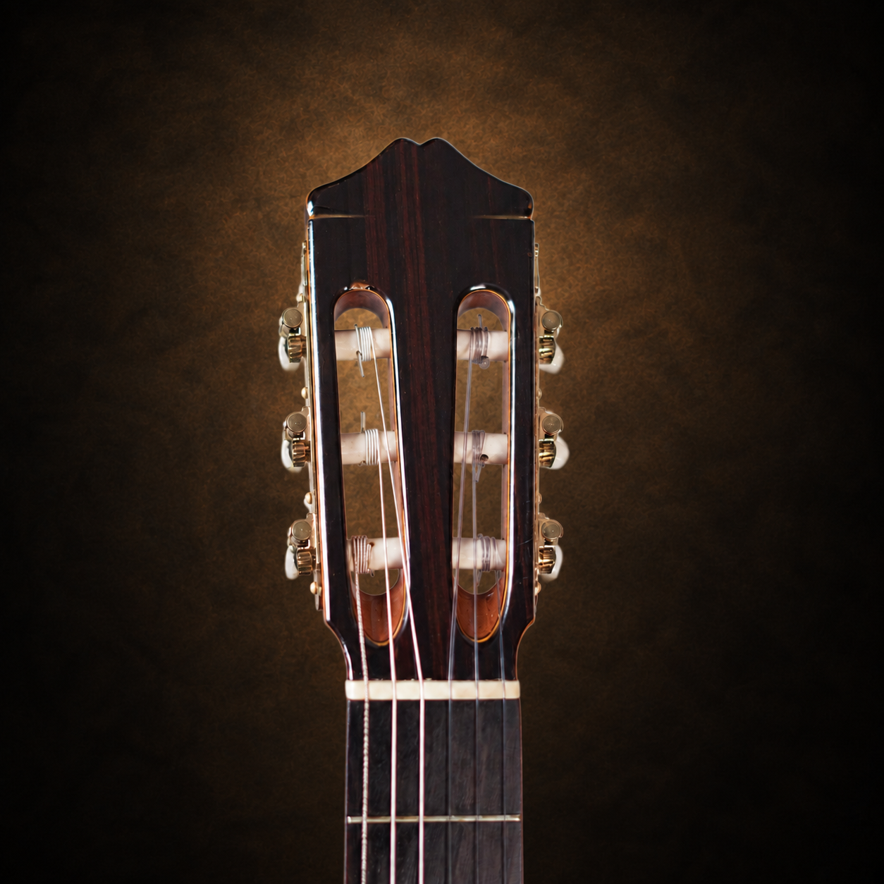 Guitar Fernandes GC-40 – mặt trước đầu đàn dây nylon