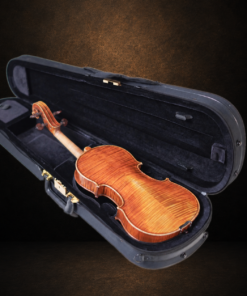 Mặt lưng violin Ferenc Béla Váci CDM-2 size 4/4 nằm trong hộp mở