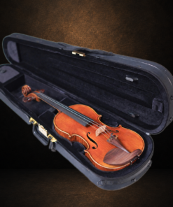 Violin Ferenc Béla Váci CDM-2 size 4/4 nằm trong hộp mở, nhìn mặt trước