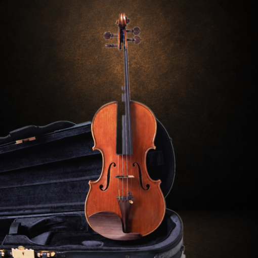 Toàn bộ mặt trước violin Ferenc Béla Váci CDM-2 size 4/4 đặt đứng