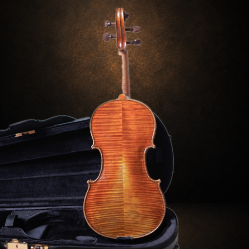 Toàn bộ mặt lưng và vân gỗ violin Ferenc Béla Váci CDM-2 đặt đứng