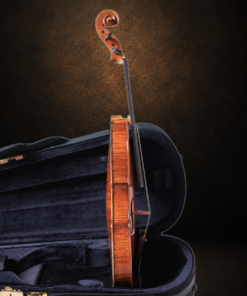 Góc nghiêng hông đối diện của violin Ferenc Béla Váci CDM-2