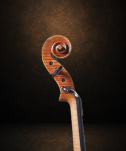 Cận cảnh đầu cuộn và chốt lên dây violin Ferenc Béla Váci CDM-2 nhìn nghiêng