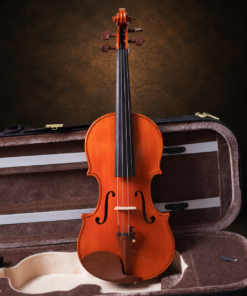 Toàn bộ mặt trước violin SIRENA Tokyo St. Serenata size 3/4 dựng đứng trước hộp đàn.
