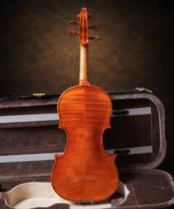 Mặt lưng và phía sau cần violin SIRENA Tokyo St. Serenata size 3/4, thấy các đường vân ngang.