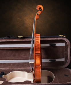 Góc nghiêng violin SIRENA Tokyo St. Serenata size 3/4, thấy hông đàn và mép bàn phím.