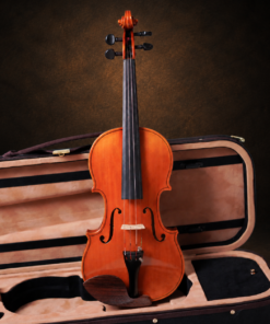 Toàn bộ mặt trước violin Suzuki No.520 size 4/4 dựng đứng, thấy dây, ngựa đàn và hai lỗ chữ f.