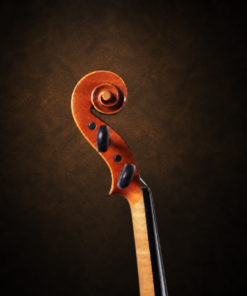 Cận cảnh đầu cuộn xoắn violin Suzuki No.520 size 4/4 nhìn nghiêng.